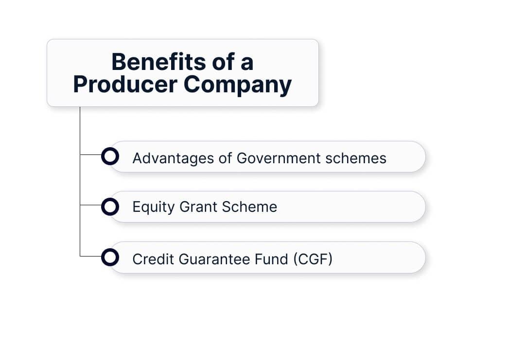 Benefits of a Producer Company
